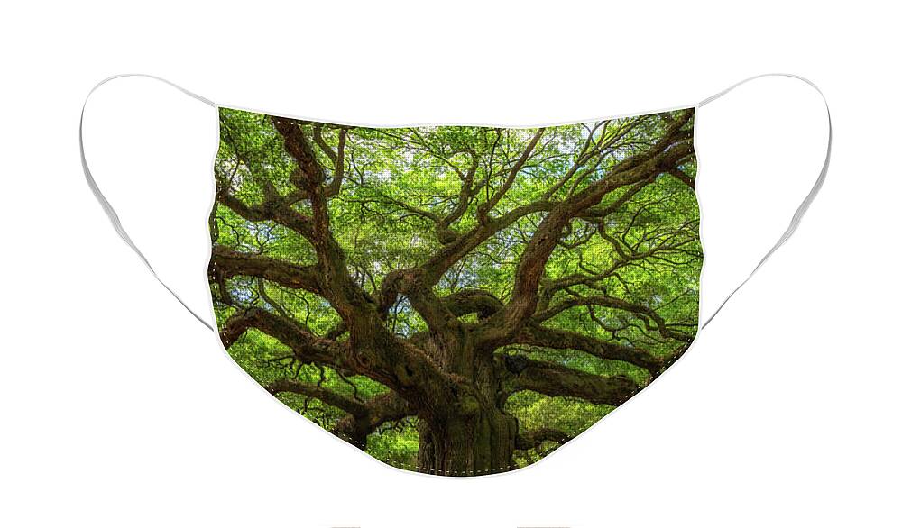 Angel Oak Tree Face Mask featuring the photograph The Magical Angel Oak Tree Panorama by Michael Ver Sprill