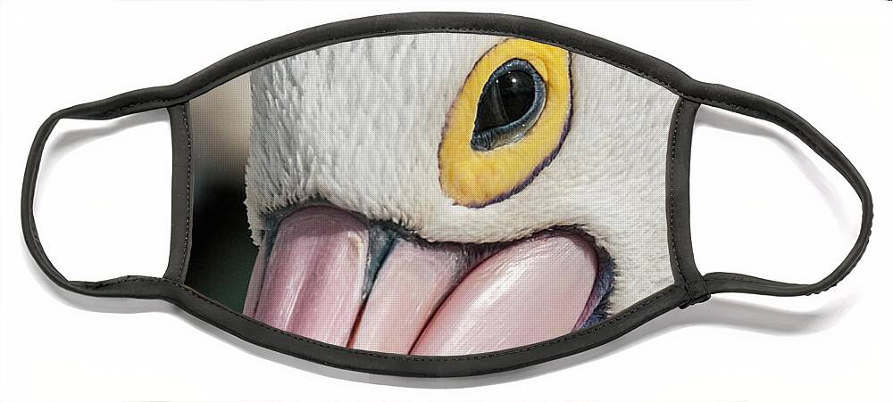 Bird Face Mask featuring the photograph The Pelican Look by Werner Padarin