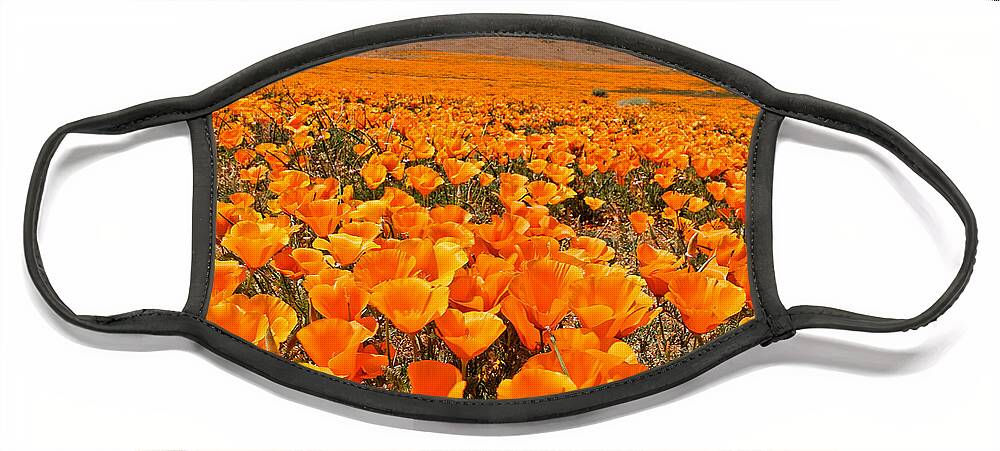 Antelope Valley Face Mask featuring the photograph The Poppy Fields - Antelope Valley by Peter Tellone