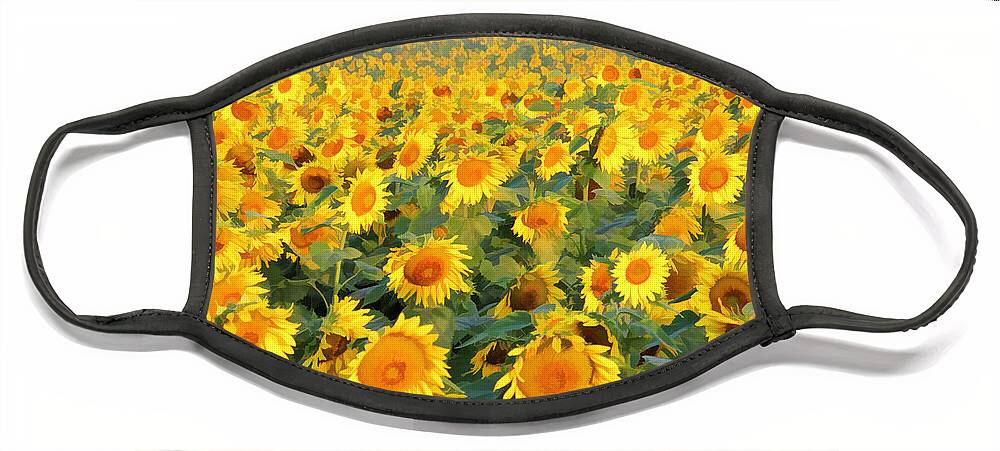 Kansas Face Mask featuring the photograph The Sunflower Field by Marla Craven