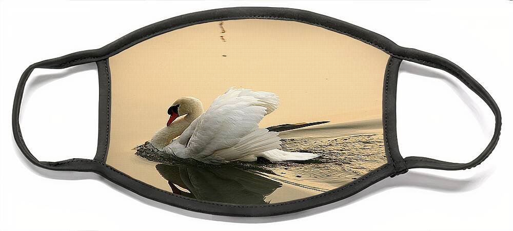 Swan Face Mask featuring the photograph The Ugly Duckling by Eena Bo