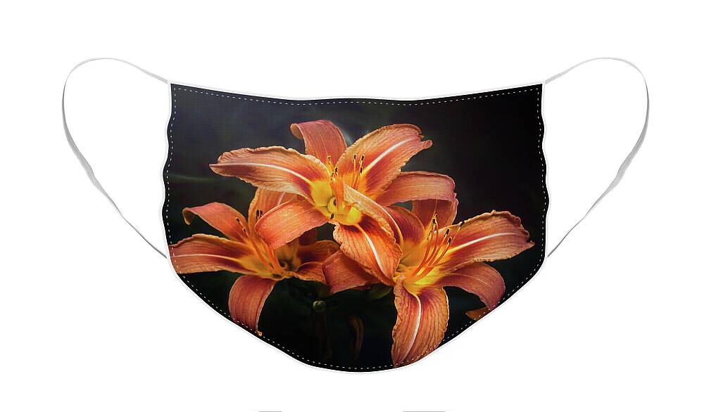 Lily Face Mask featuring the photograph Three Lilies by Scott Norris