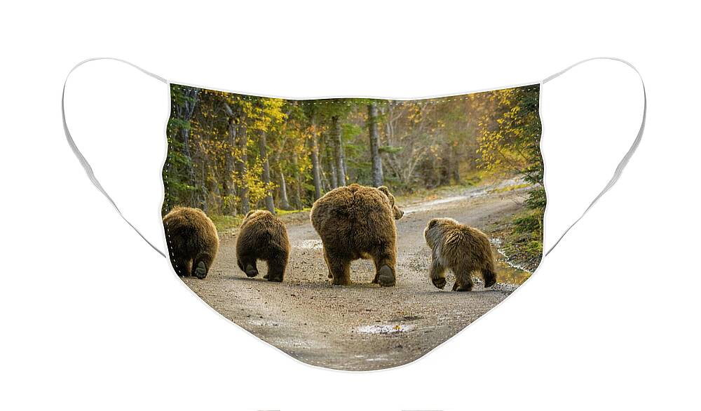 Alaska Face Mask featuring the photograph Bear Bums by Chad Dutson