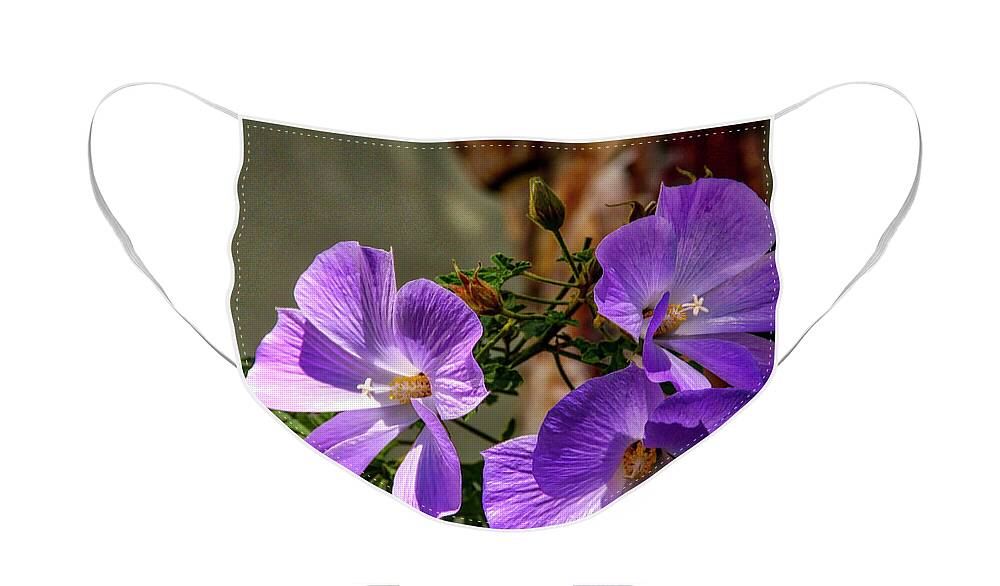 Floral Face Mask featuring the photograph Three Sisters by Gene Parks