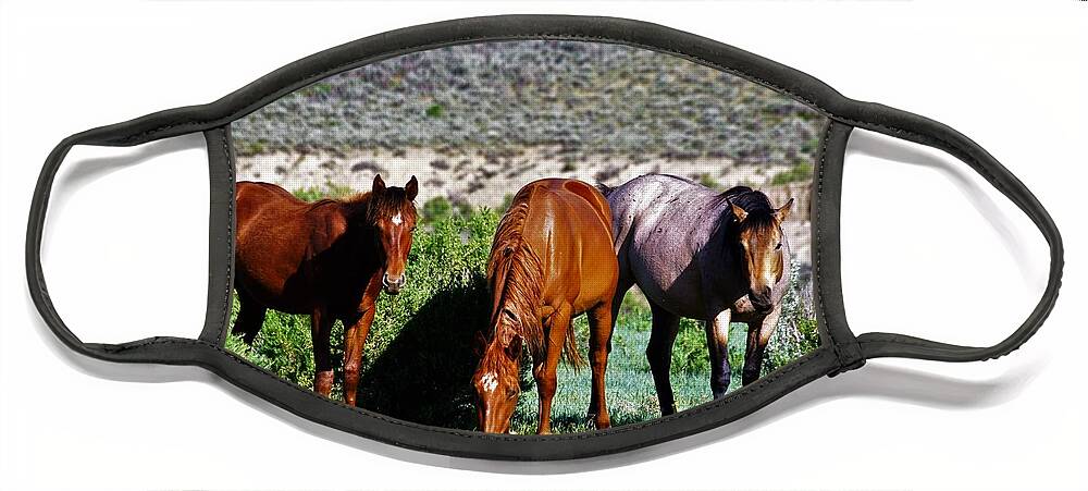 Horses Face Mask featuring the photograph Three Together by Merle Grenz