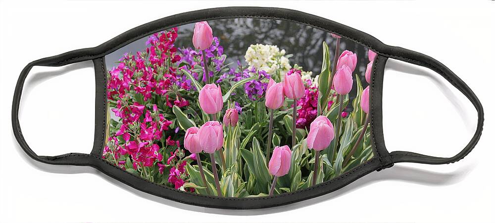 Pink Tulips Face Mask featuring the photograph Top View Planter by Allen Nice-Webb