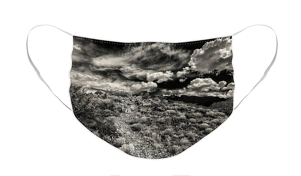 Landscape Face Mask featuring the photograph Trail to the Clouds by Michael McKenney