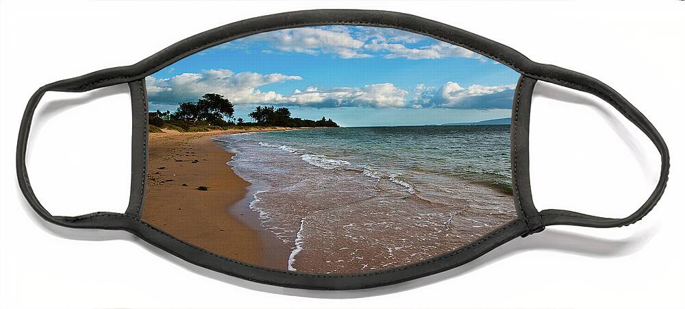 Ocean Face Mask featuring the photograph Tranquil Beach by Harry Spitz