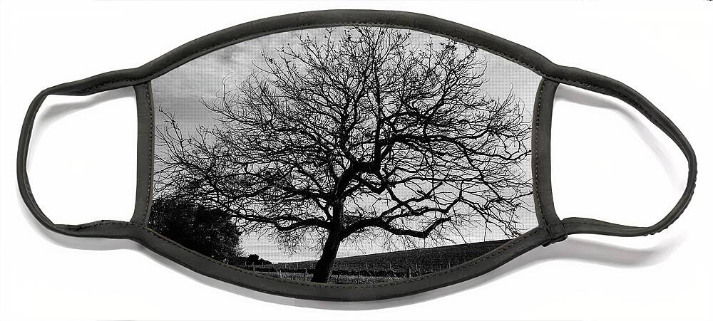 Landscape Face Mask featuring the photograph Tree in a country cemetery in winter by Frank Lee