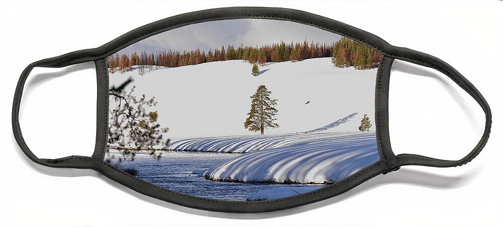 Yellowstone National Park Face Mask featuring the photograph Tree Shadows along the Madison by Kae Cheatham