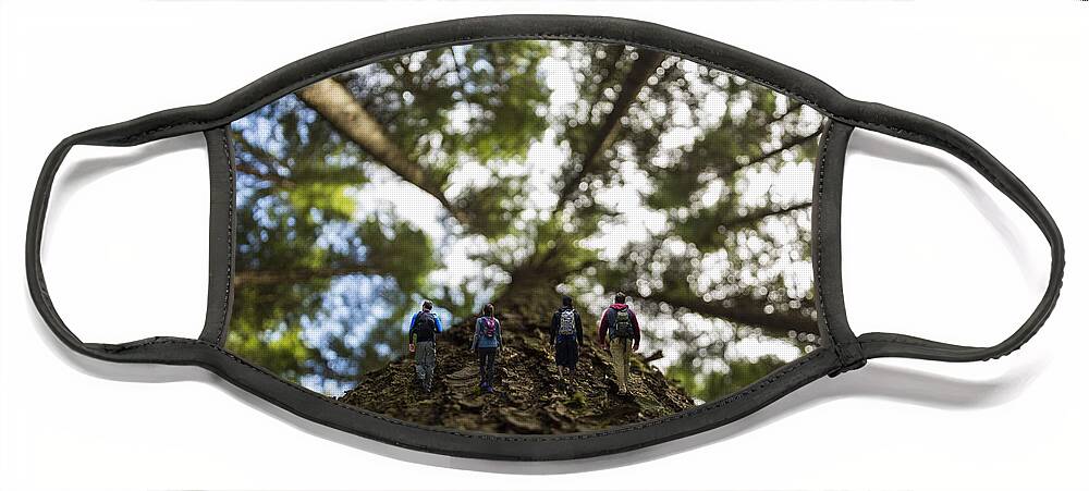 Walkers Face Mask featuring the digital art Tree Walkers by Pelo Blanco Photo