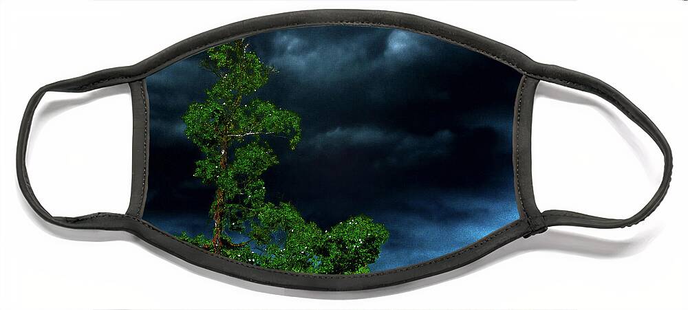 Storm Clouds Face Mask featuring the photograph Trees and Storm Clouds in HDR by Gina O'Brien