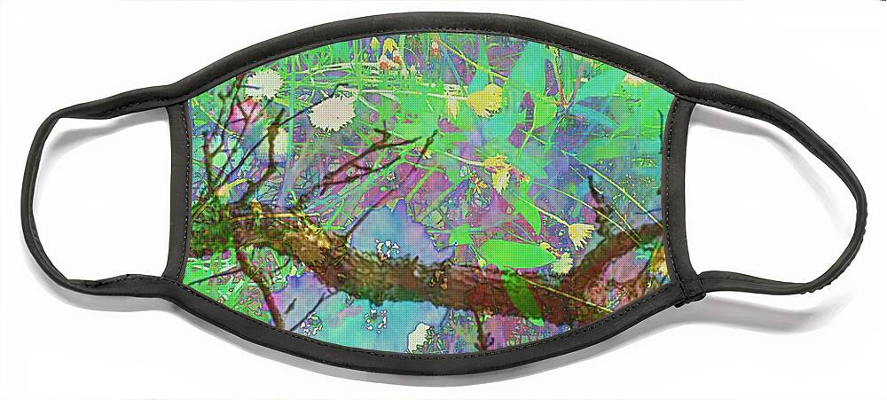 Aerial Forest View Face Mask featuring the digital art Treetop View Of A Forest Floor by Pamela Smale Williams