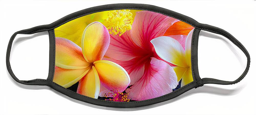 Flower Of The Day Face Mask featuring the photograph Tropical Melange by Jade Moon 