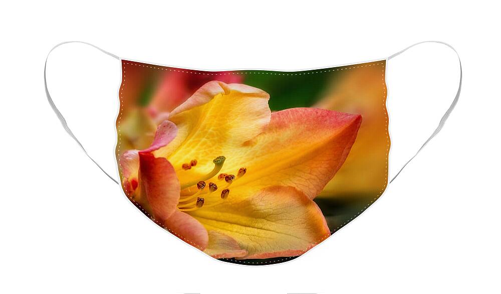 Rhododendron Face Mask featuring the photograph Trumpet of Spring by Mary Jo Allen