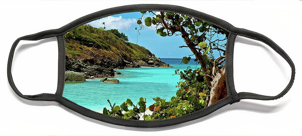 Trunk Bay Face Mask featuring the photograph Trunk Bay Island by Harry Spitz