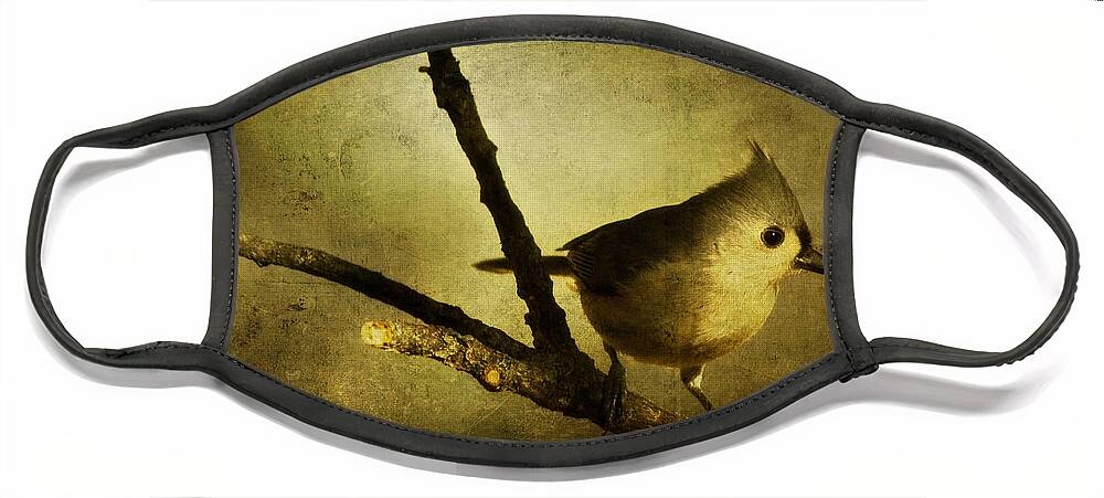 backyard Birds Face Mask featuring the photograph Tufted Titmouse - Weathered by Lana Trussell