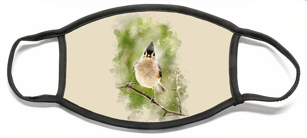 Bird Face Mask featuring the mixed media Tufted Titmouse - Watercolor Art by Christina Rollo