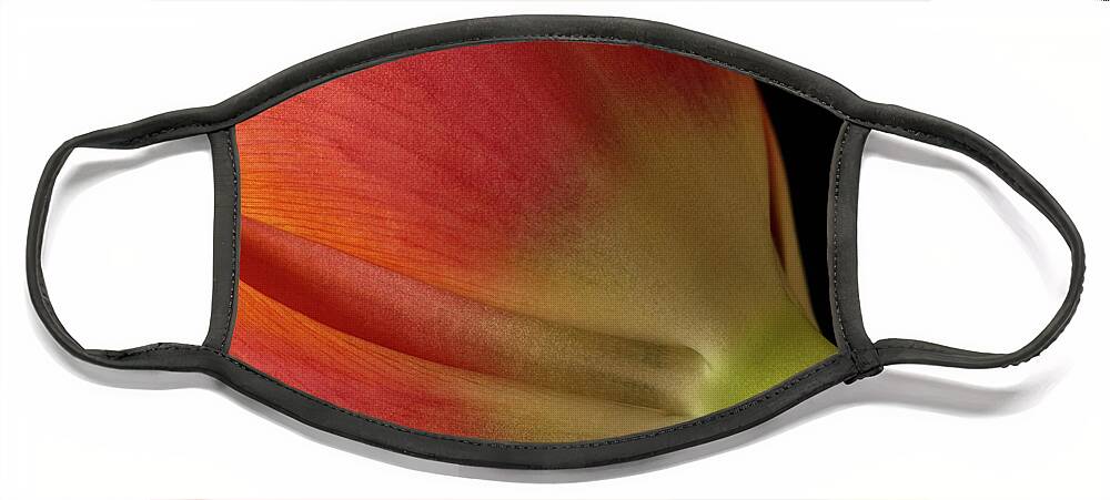 Tulip Face Mask featuring the photograph Tulip by Cheryl Day