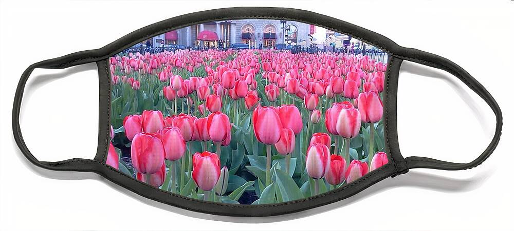 Tulips Face Mask featuring the photograph Tulips, Copley Square, Boston by Michael Dean Shelton