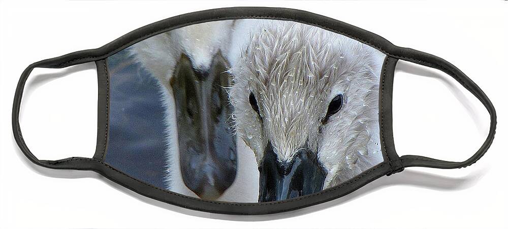 Swans Face Mask featuring the photograph Twin Cuteness by Lori Lafargue