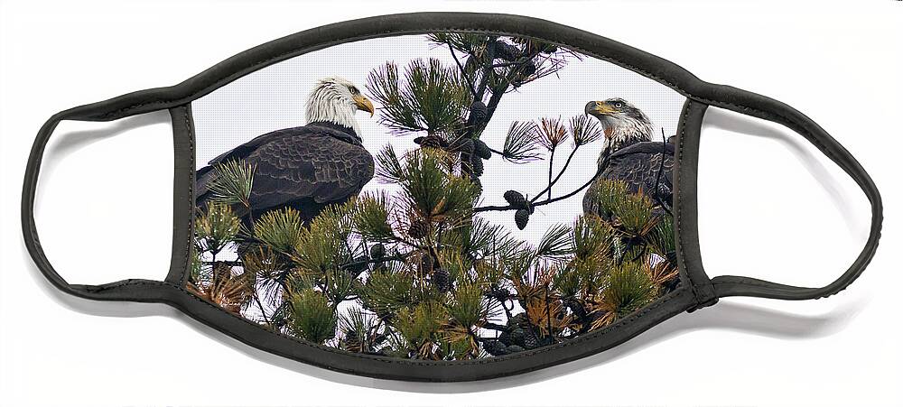 Bird Face Mask featuring the photograph Twin Eagles by John Rowe