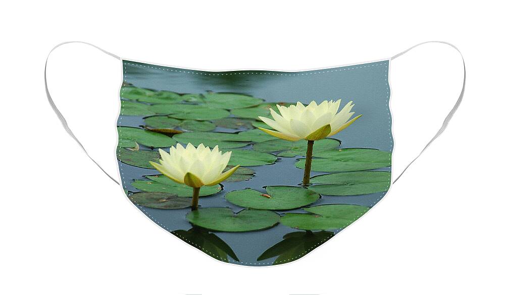 Water Lily Face Mask featuring the photograph Twin Reflections by Suzanne Gaff