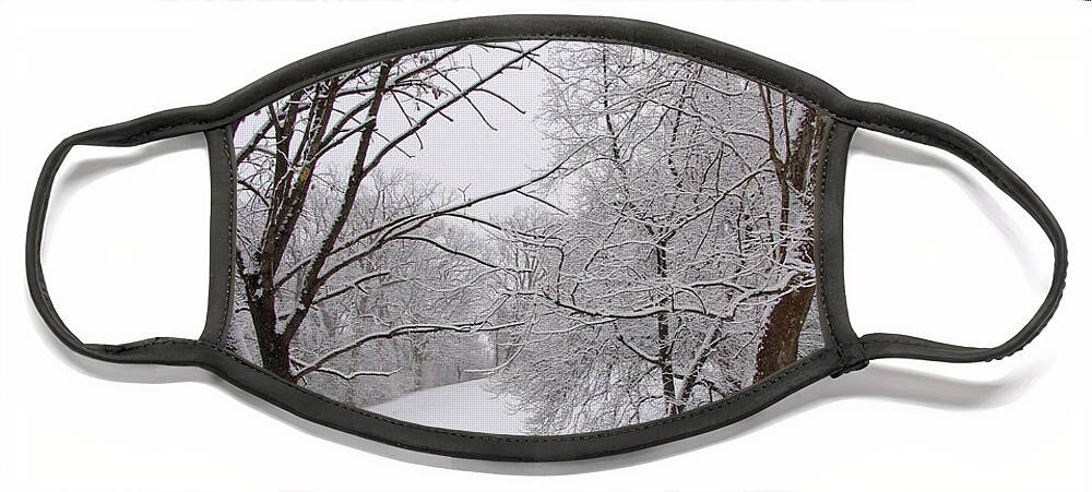 Ice Face Mask featuring the photograph Twins trees in the Snow by Adam Long