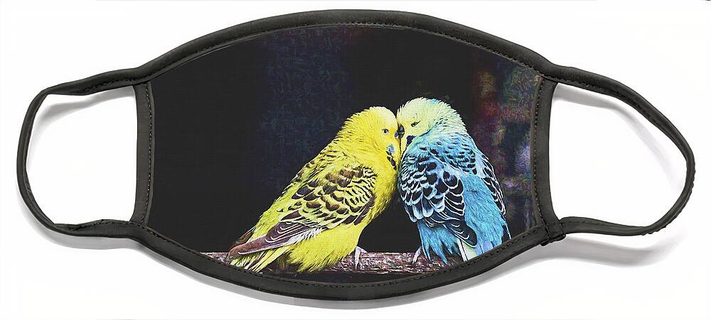 Pair Face Mask featuring the photograph Two Love Birds by Diane Macdonald