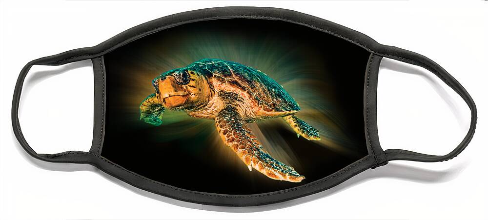 Turtle Face Mask featuring the photograph Undersea Turtle by Debra and Dave Vanderlaan