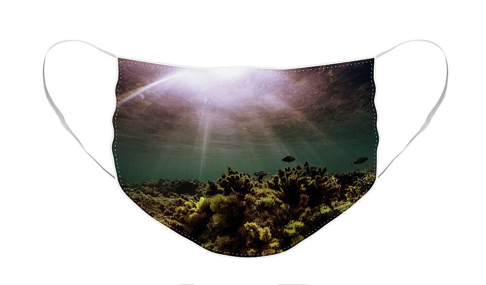 Sunset Face Mask featuring the photograph Underwater Sunset by Gemma Silvestre