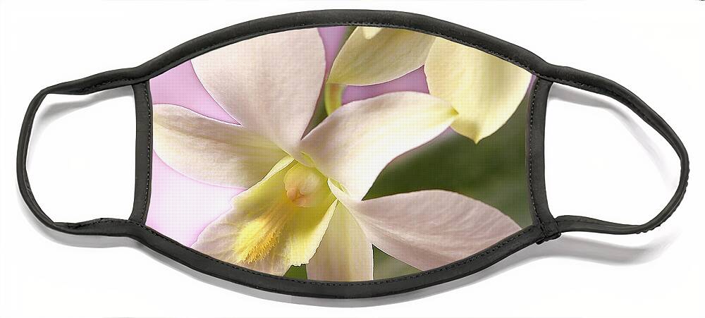 White Flower Face Mask featuring the photograph Unique White Orchid by Mike McGlothlen