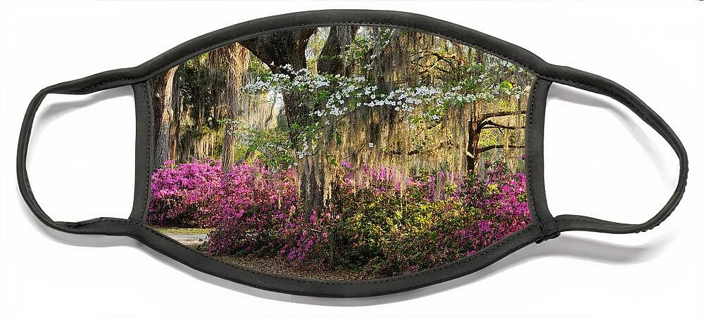 Spring Face Mask featuring the photograph Unpaved road in Spring by Bradford Martin