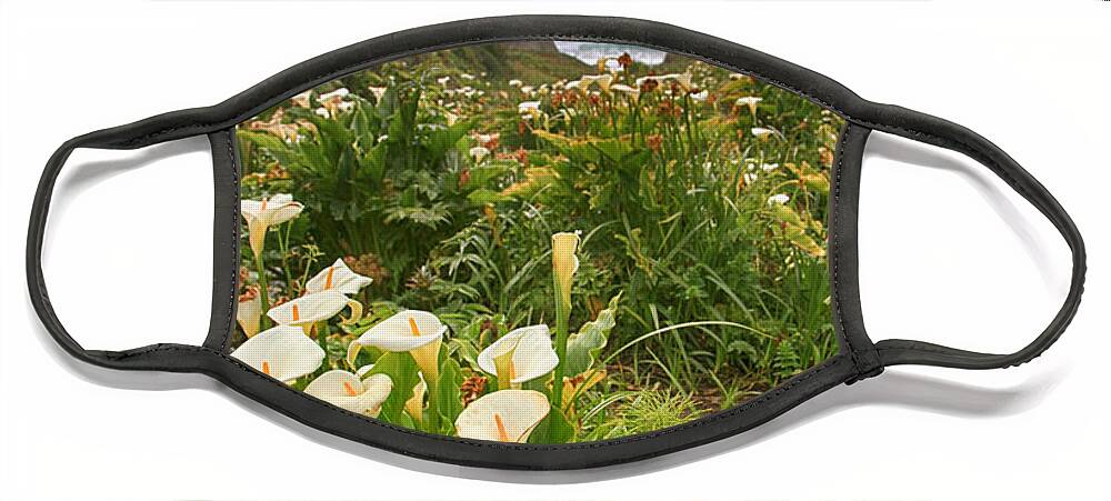Garrapata State Park Face Mask featuring the photograph Valley of the Lilies by Laurie Search