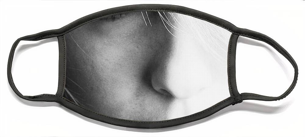 Artistic Face Mask featuring the photograph Vast Impression by Robert WK Clark