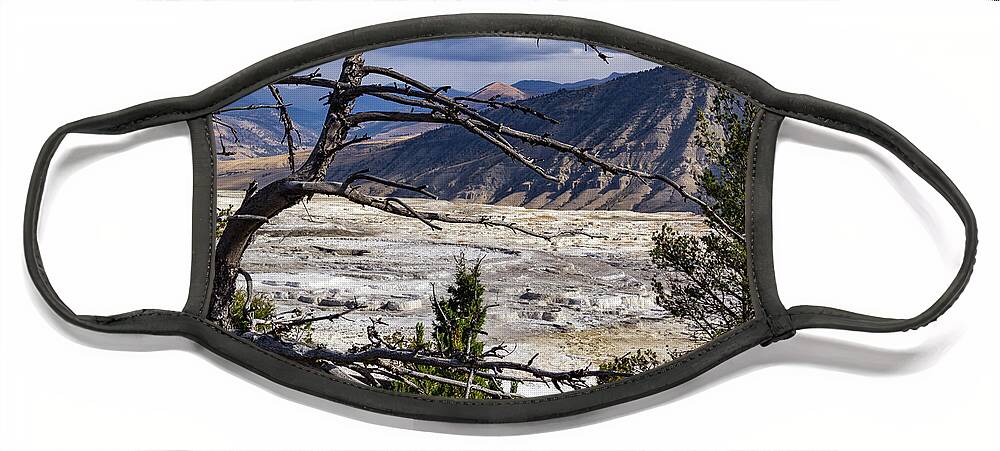 America Face Mask featuring the photograph View of the travertine and mountains from the pathway at Mammoth Hot Springs by Roslyn Wilkins