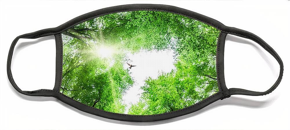 Tree Face Mask featuring the photograph View through tree canopy with bird soaring by Simon Bratt