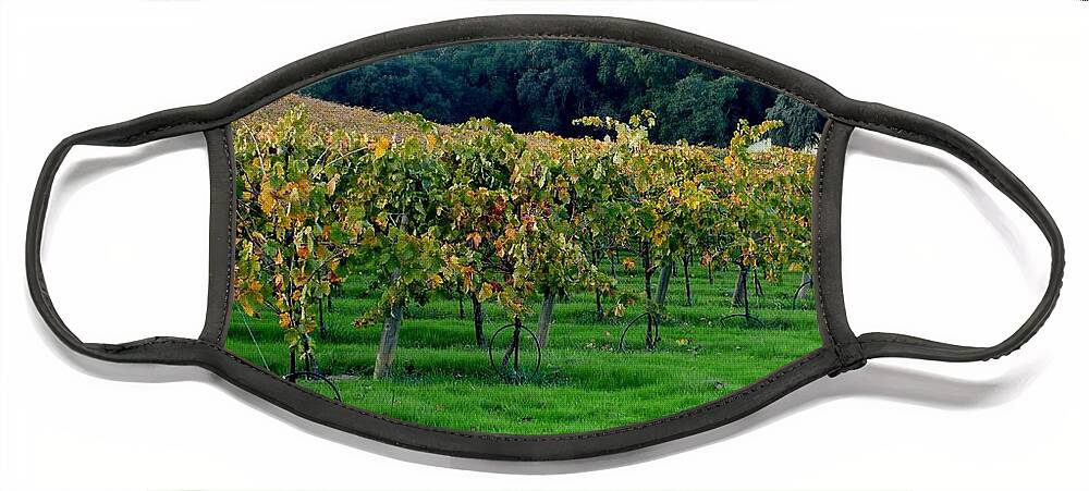 Vineyards Face Mask featuring the photograph Vineyards in California by Charlene Mitchell