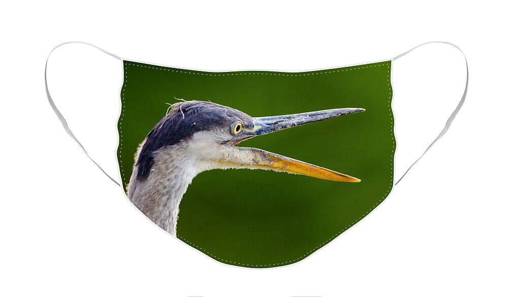 Bird Face Mask featuring the photograph Vocal Heron by Jeff Phillippi