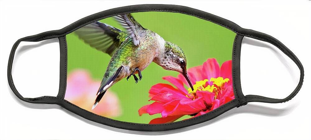 Hummingbird Face Mask featuring the photograph Waiting in the Wings Hummingbird Square by Christina Rollo