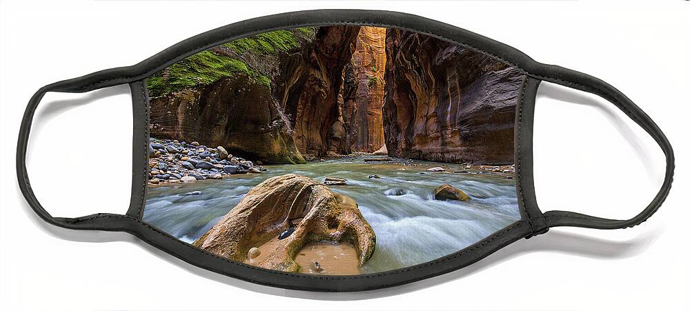 Zion Face Mask featuring the photograph Wall Street of the Narrows by Wesley Aston