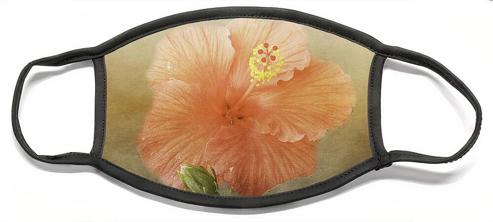 Hibiscus Face Mask featuring the photograph Warm Hibiscus by Judy Hall-Folde