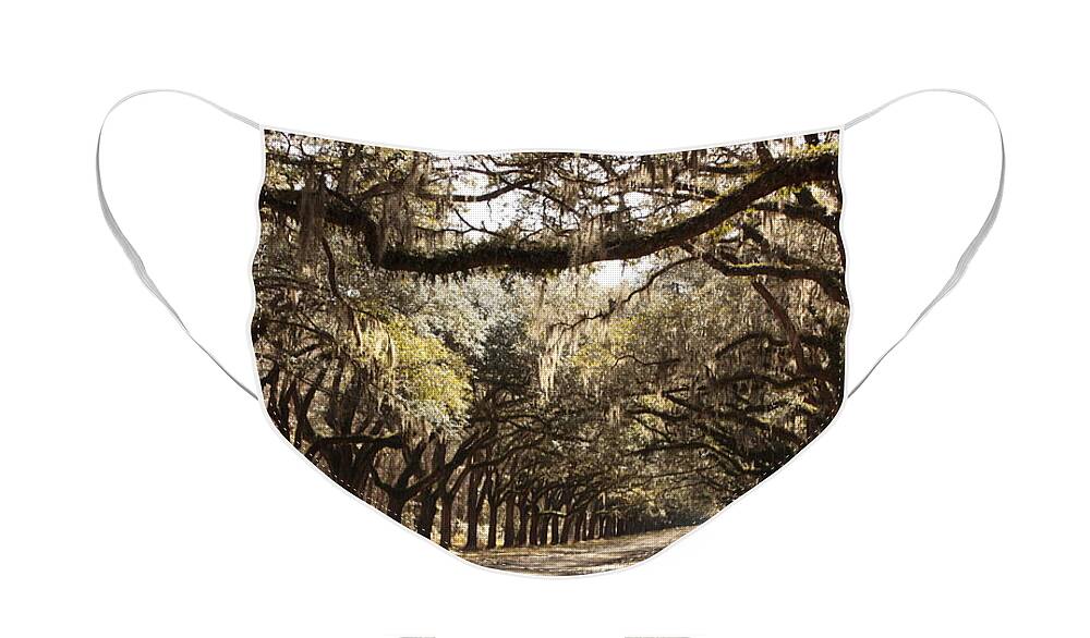 Live Oaks Face Mask featuring the photograph Warm Southern Hospitality by Carol Groenen