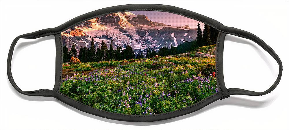 Mount Rainier Face Mask featuring the photograph Warming Up in Paradise by Dan Mihai