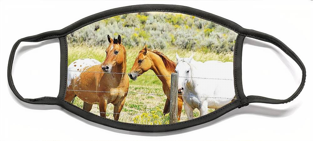 Horses Face Mask featuring the photograph Watchful by Merle Grenz