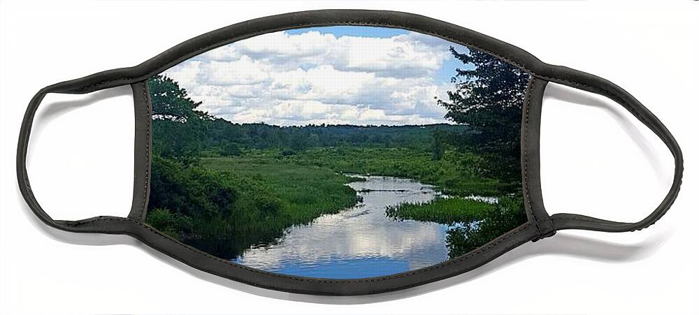 Reflections Face Mask featuring the photograph Water and Woods in Warren by Dani McEvoy