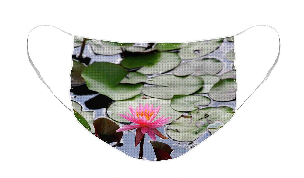 Water Lily Face Mask featuring the photograph Water Lily in the Pond by Jackson Pearson