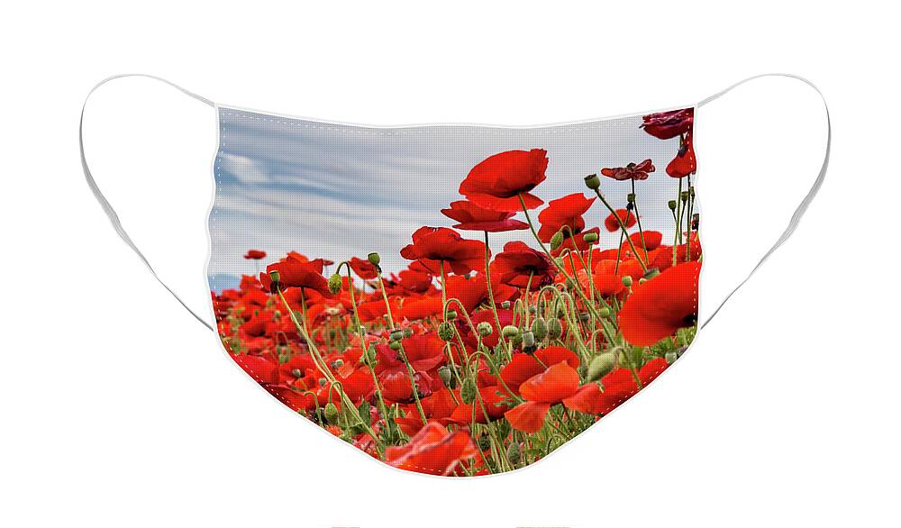 Jean Noren Face Mask featuring the photograph Waving Red Poppies by Jean Noren