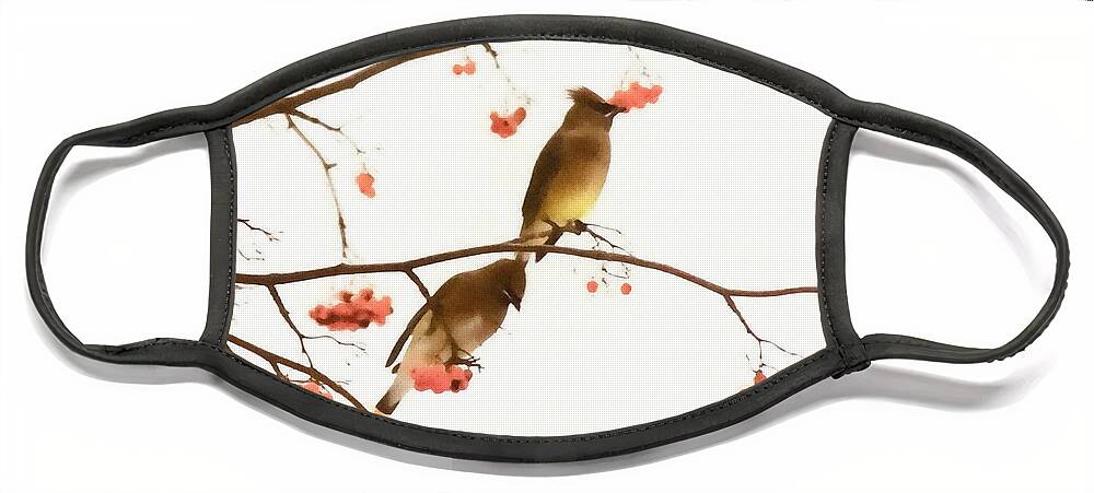 Waxwing Face Mask featuring the photograph Waxwing Wonders by Andrea Kollo
