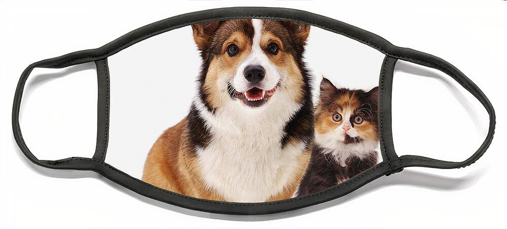 White Background Face Mask featuring the photograph Welsh Corgi And Kitten by Jane Burton